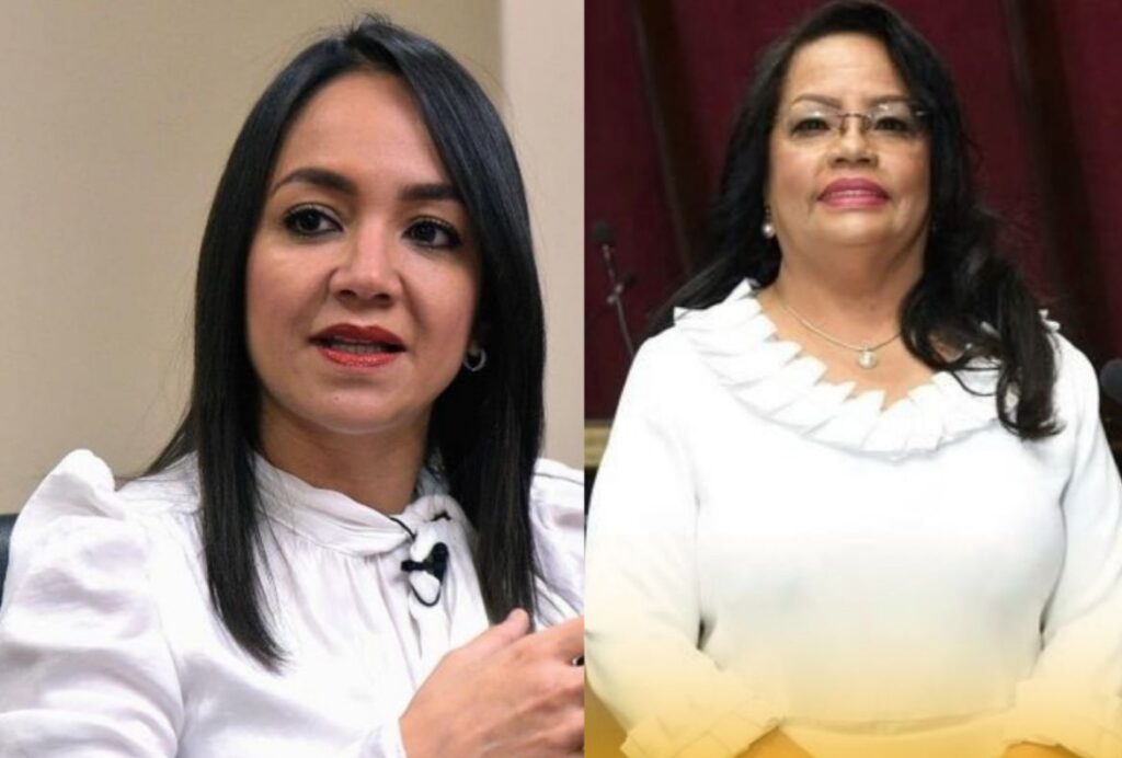 Exdiputada Servia Iris Familia llama a población a respaldar el trabajo de Faride Raful en Interior y Policía