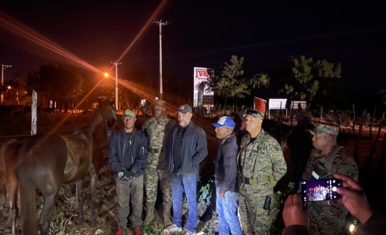 Recuperan 28 vacas y dos caballos robados en hacienda de Dajabón