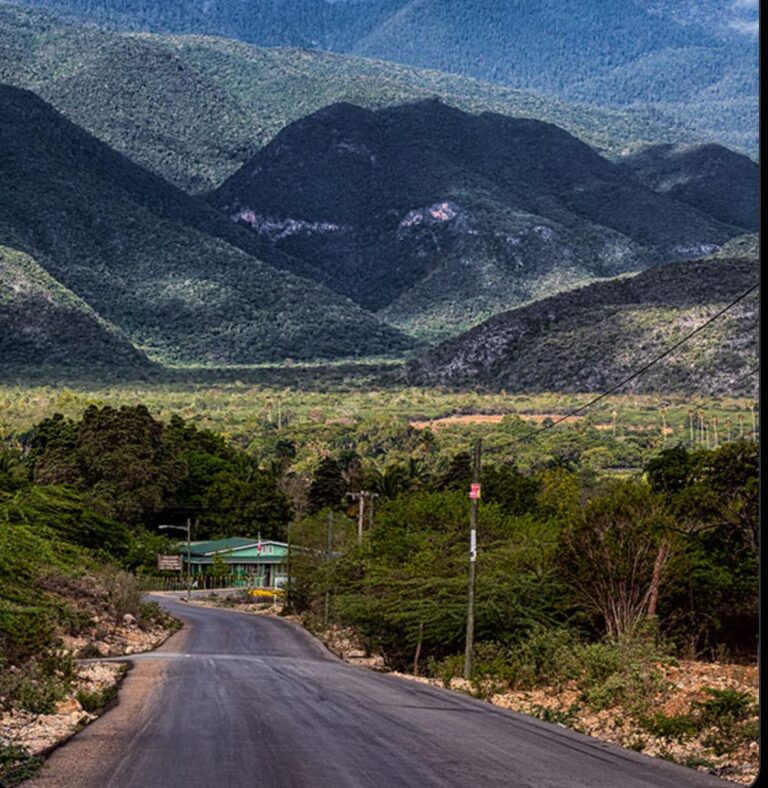 El Desarrollo del Sur: Entre Promesas y Realidad