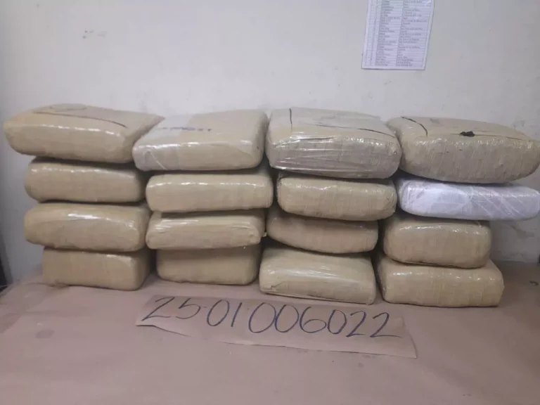 Confiscan 16 paquetes de marihuana y apresan ocho hombres