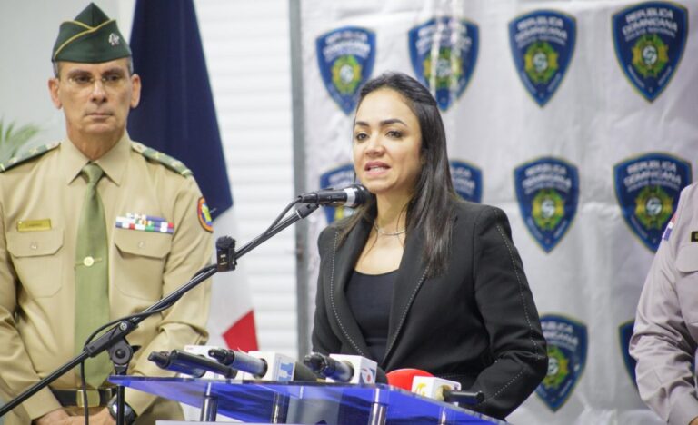 Unas 300 armas ilegales sacadas de las calles en los dos últimos meses, dice Faride Raful