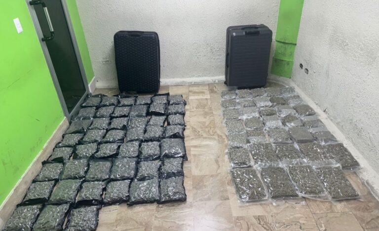 DNCD incauta dos maletas con 79 paquetes de marihuana en aeropuerto de Punta Cana