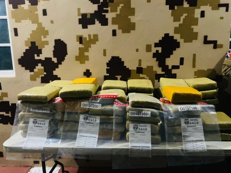 CESFRONT y DNCD decomisan más de 293 libras de marihuana en Pedernales