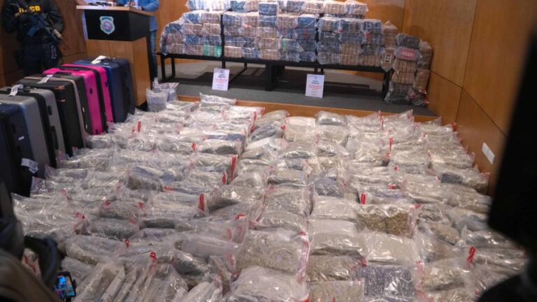 Detenidos siete canadienses con 509 paquetes de marihuana al llegar al aeropuerto de La Romana