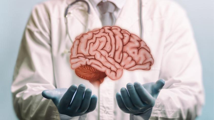 El cerebro de los ‘superancianos’ ofrece algunas claves de la eterna juventud
