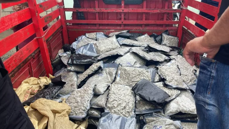 Autoridades interceptan conductor de camión con 151 paquetes de presunta marihuana en Azua