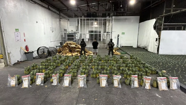 DNCD intercepta cargamento de piñas con cocaína y apresan a un hombre en el AILA