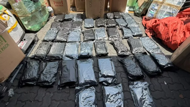 DNCD decomisa 41 paquetes de marihuana ocultos en carga procedente de EE.UU. en el Puerto de Haina