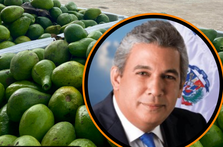 Productores de aguacates claman por el pago de millones que les adeuda empacadora de Carlos Castillo